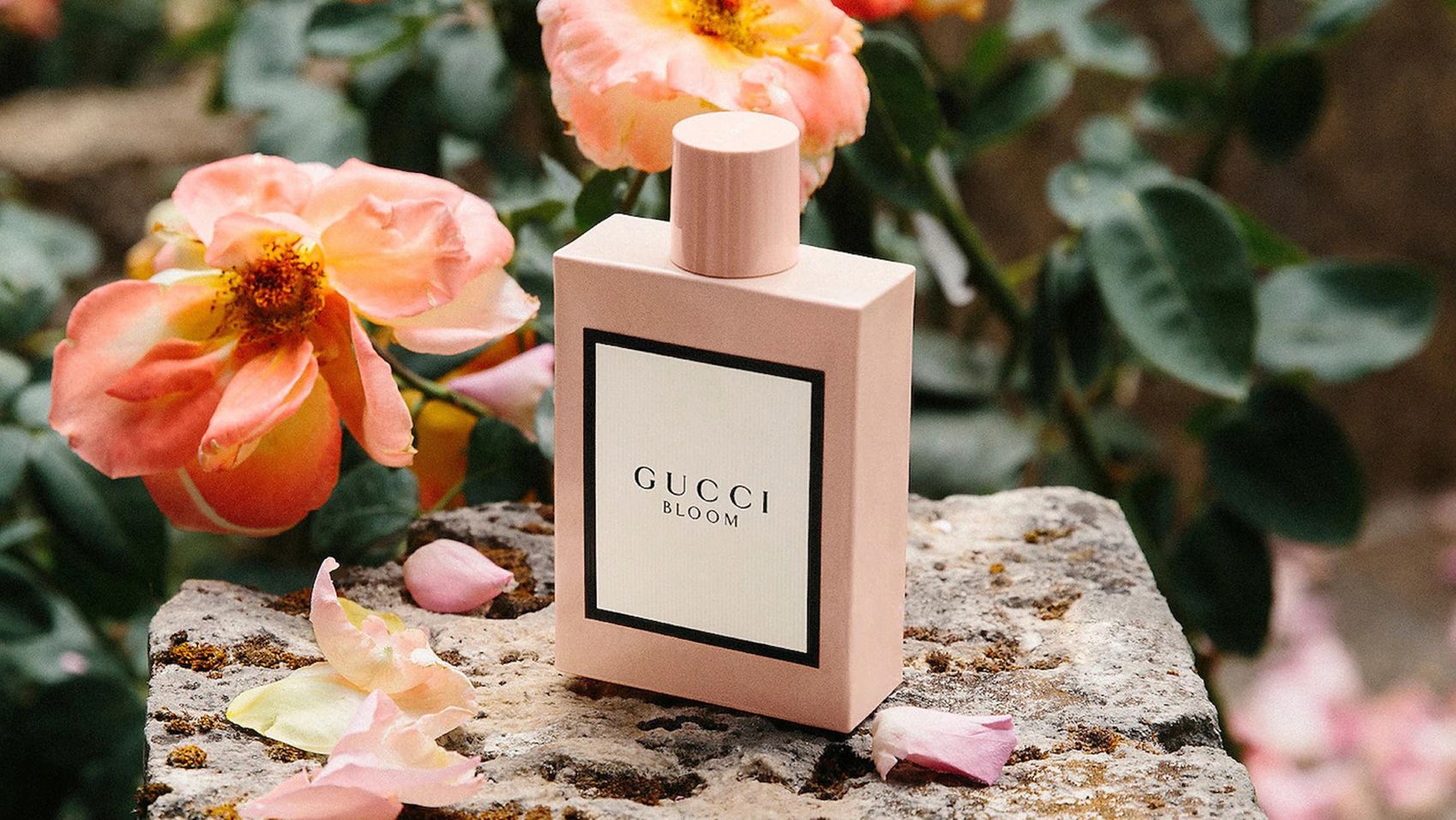 Fragrances for Women